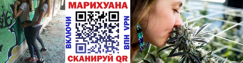 Каннабис гибрид  Болохово 